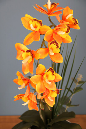Beton Oval Saksıda Yapay Tropikal Simbidyum Orkide Aranjmanı Kavuniçi - Thumbnail