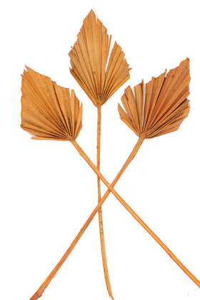 Yapay Çiçek Deposu - 3lü Kuru Tropic Palm Spear Turuncu