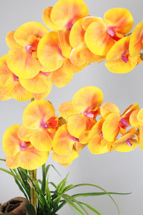 Dekoratif Ahşap Saksıda Yapay Orkide Tanzimi 68 cm Turuncu - Thumbnail