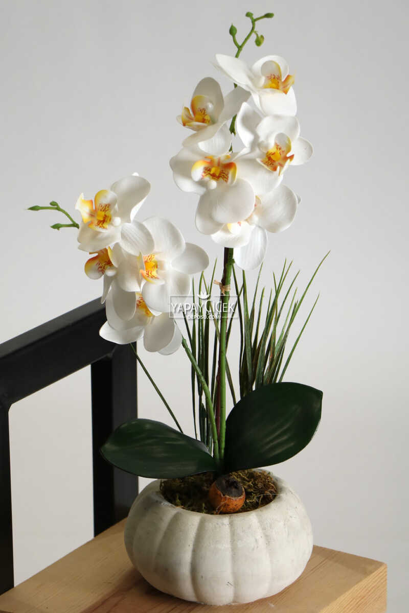 Küçük Kabak Saksıda Mini Yapay Islak Orkide Aranjmanı Tropikal