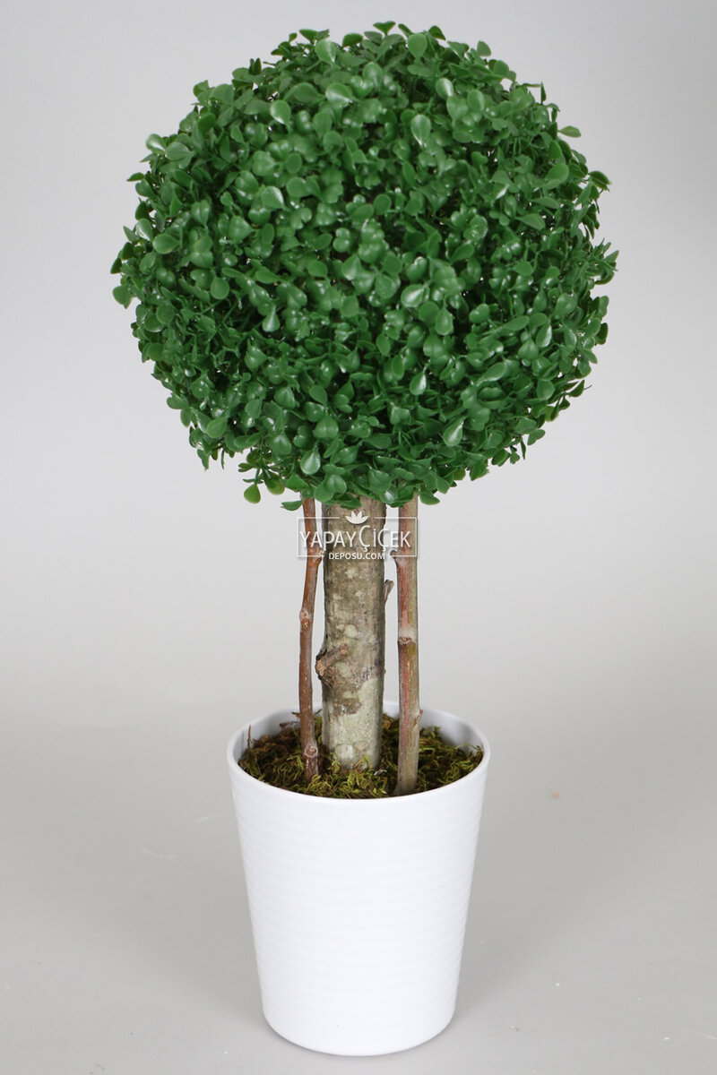 Yapay Küçük Şimşir Ağacı 50 Cm Beyaz Saksılı