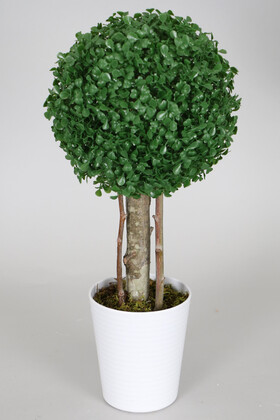 Yapay Çiçek Deposu - Yapay Küçük Şimşir Ağacı 50 cm Beyaz Saksılı