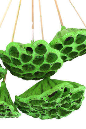 Succulent Lotus Plant Gerçek Lotus Çiçeği Bambu Saplı 6 Adet Retro Yeşil - Thumbnail