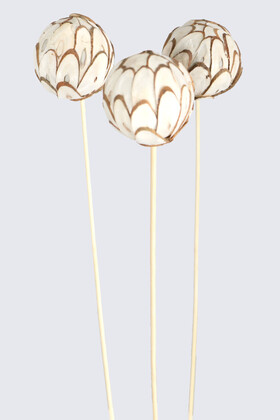 3 Adet Shola Log Ball 40 cm Beyaz-Kahve - 3
