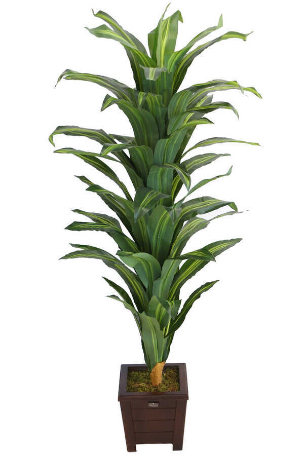 Yapay Drecina Ağacı 145 Cm Dracaena Plant (yeşil-sarı)