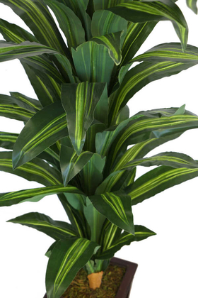 Yapay Drecina Ağacı 145 cm Dracaena Plant (Yeşil-Sarı) - Thumbnail