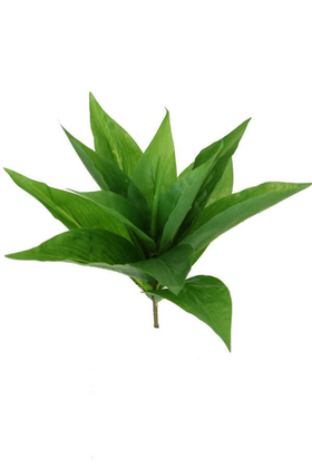 Yapraklı Model Dekor Bitkisi 27 cm Yeşil - Thumbnail