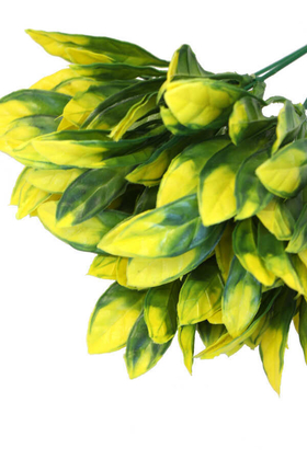 Yapay Kalın Yapraklı Bodur Bitki 30 cm Yeşil-Sarı - Thumbnail