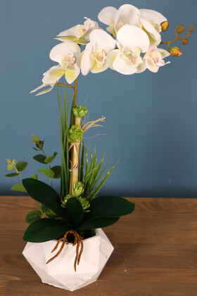 Yapay Çiçek Deposu - Beton Geometrik Saksıda Tekli Yapay Islak Orkide 55 cm Beyaz