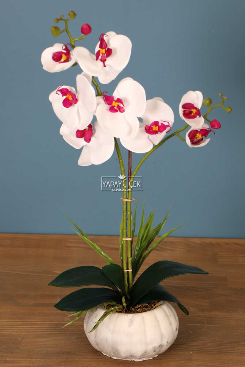 Dekoratif 2li Mini Yapay Islak Orkide Tanzimi Beyaz-fuşya 45 Cm