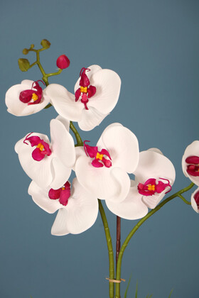 Dekoratif 2li Mini Yapay Islak Orkide Tanzimi Beyaz-Fuşya 45 cm - Thumbnail