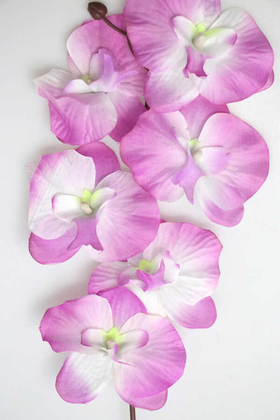 Ucuz Yapay Orkide Çiçeği Dalı 65 cm Beyaz Mor - Thumbnail