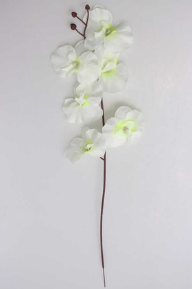 Ucuz Yapay Orkide Çiçeği Dalı 65 cm Kırık Beyaz - Thumbnail