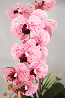 Beton Saksıda Yapay Baskılı Islak Orkide 55 cm Pembe Benekli - Thumbnail