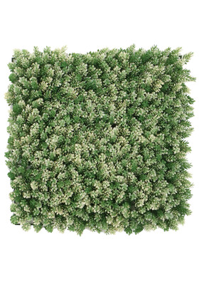 Yapay Çamdalı Model Duvar Bitki Kaplaması 50x50 cm Yeşil-Beyaz - Thumbnail