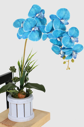 Yapay Çiçek Deposu - Oval Renkli Ahşap Saksıda Tek Dal Orkide Aranjmanı 55 cm Mavi