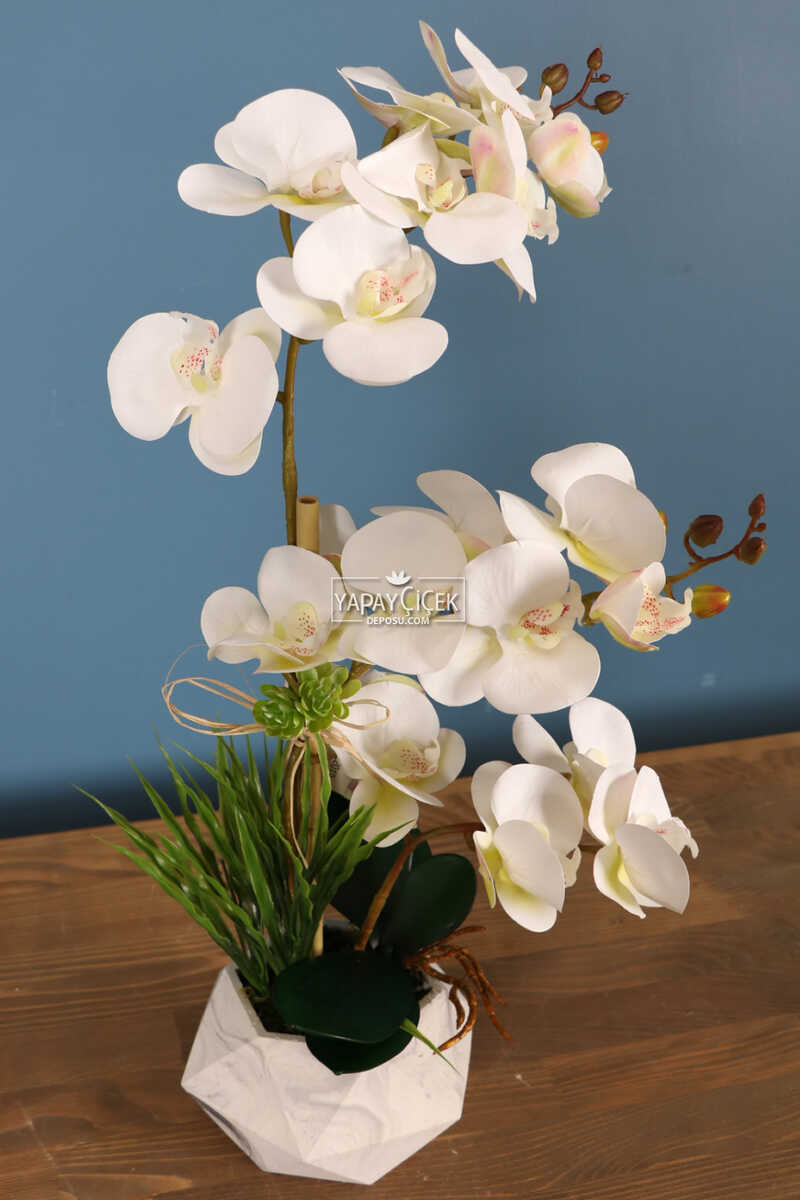Beton Geometrik Saksıda 3 Dal Yapay Islak Orkide Beyaz