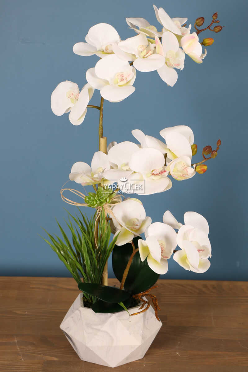 Beton Geometrik Saksıda 3 Dal Yapay Islak Orkide Beyaz