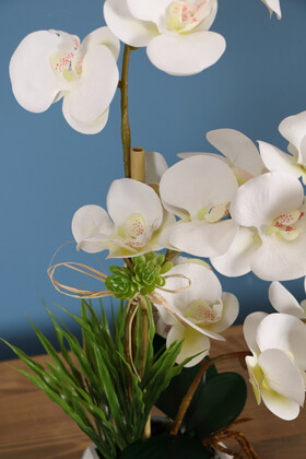 Beton Geometrik Saksıda 3 Dal Yapay Islak Orkide Beyaz - Thumbnail