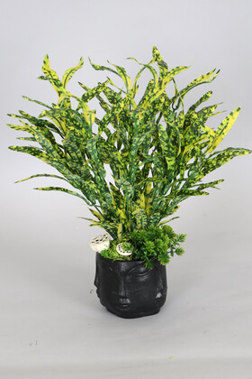 Yapay Çiçek Deposu - Çoklu Yüz Beton Saksıda Kabarık Yapay Bitki 38 cm Yeşil Sarı