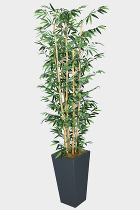 7 Gövdeli Yapay Bambu Ağaç (Islak Yaprak) 230 cm - 2