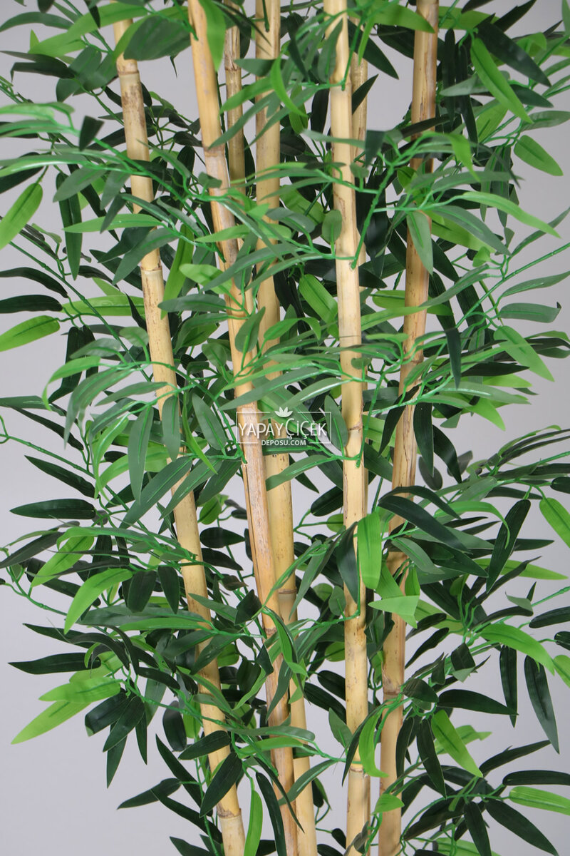 7 Gövdeli Yapay Bambu Ağaç (Islak Yaprak) 230 cm