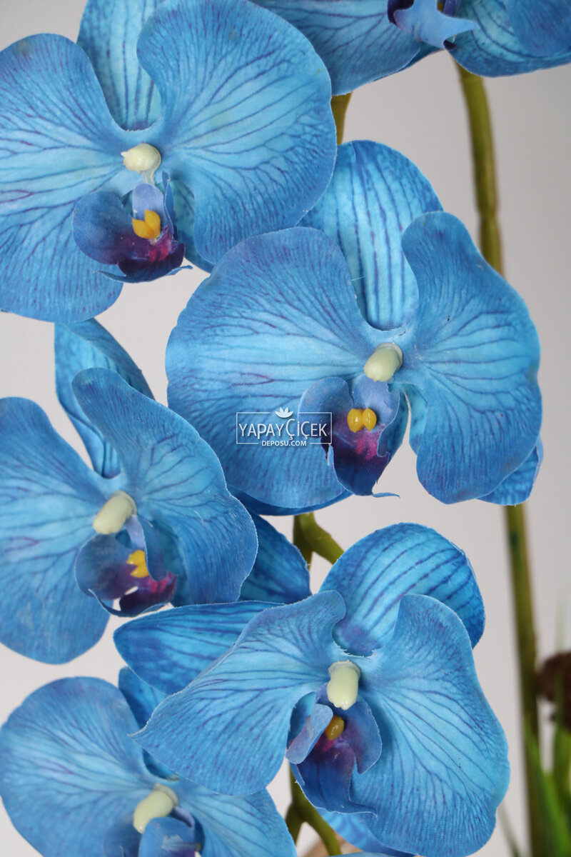 Vintage Kabartmalı Saksıda Islak Etli Dokuda Yapay Orkide 55 cm Deniz Mavisi