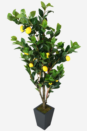 Ahşap Mdf Saksıda Yapay Lüx Limon Ağacı 200 cm - Yapay Çiçek Deposu