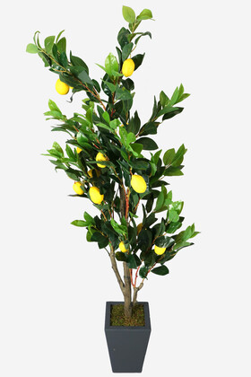 Ahşap Mdf Saksıda Yapay Lüx Limon Ağacı 200 cm - Thumbnail