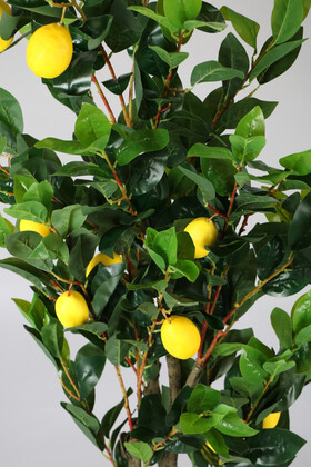 Ahşap Mdf Saksıda Yapay Lüx Limon Ağacı 200 cm - 3