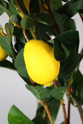 Ahşap Mdf Saksıda Yapay Lüx Limon Ağacı 200 cm - 4