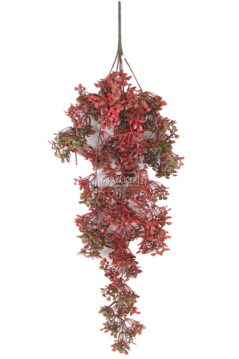 Yapay Çiçek Sarkan Şimşir 72 cm Kırmızı