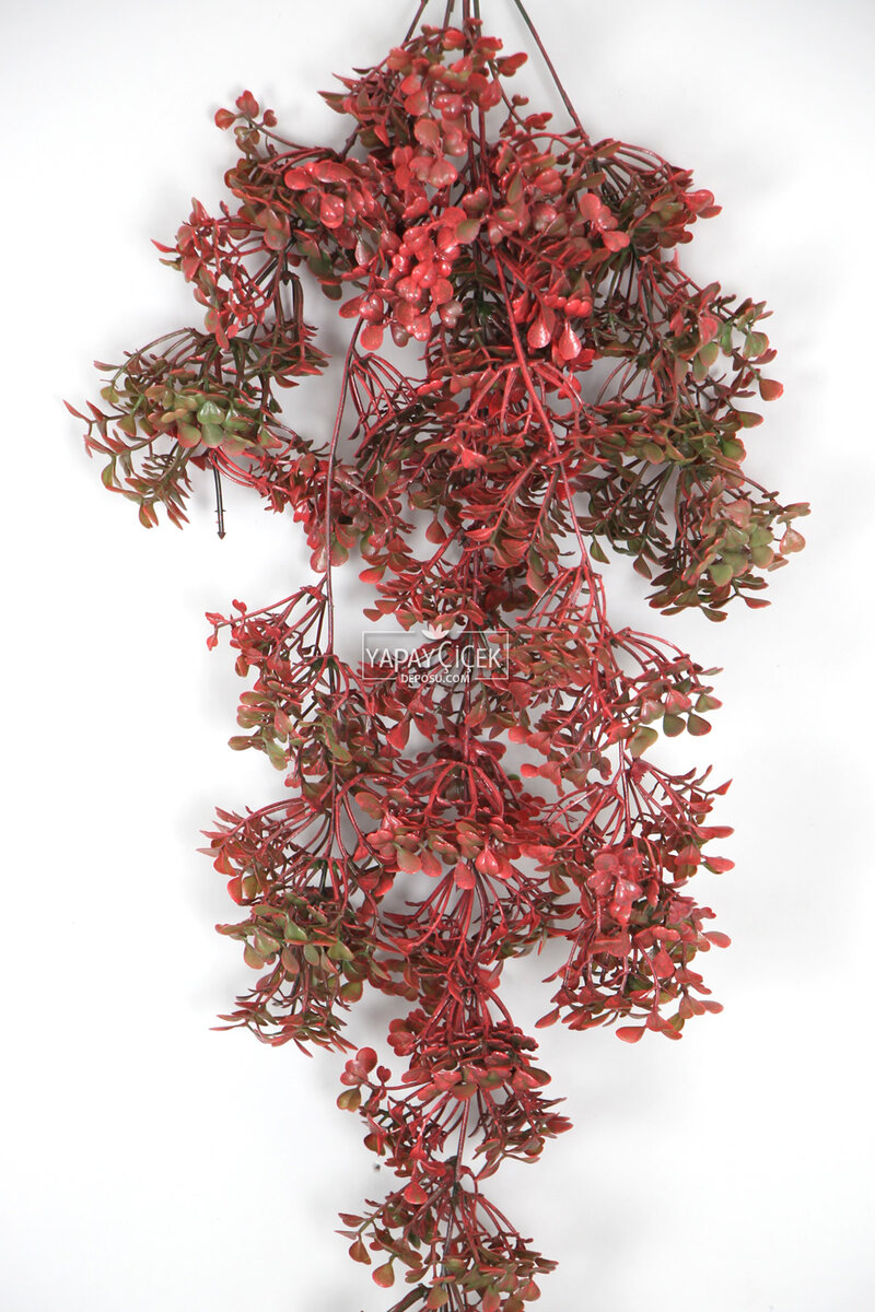 Yapay Çiçek Sarkan Şimşir 72 cm Kırmızı