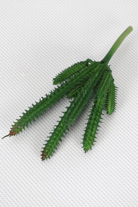 Yapay Succulent Sukulent Kaktüs Huernia Penzigii Yeşil - Thumbnail
