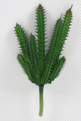 Yapay Çiçek Deposu - Yapay Succulent Sukulent Kaktüs Huernia Penzigii Yeşil
