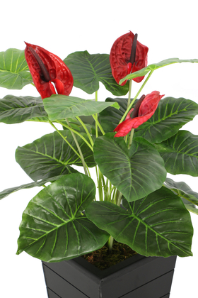 Konik Saksıda Yapay Lüx Antoryum Çiçeği Kırmızı - Thumbnail