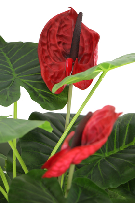 Konik Saksıda Yapay Lüx Antoryum Çiçeği Kırmızı - Thumbnail