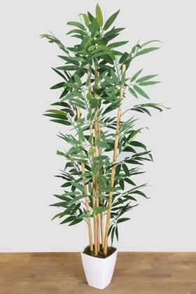 Yapay Çiçek Deposu - Kaliteli Melamin Saksıda İri Yapraklı Bambu Ağacı 150 cm