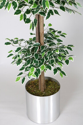 Gri Metal Saksıda Yapay Benjamin Ağacı (Ficus benjamina) 180 cm Yeşil Beyaz - Thumbnail