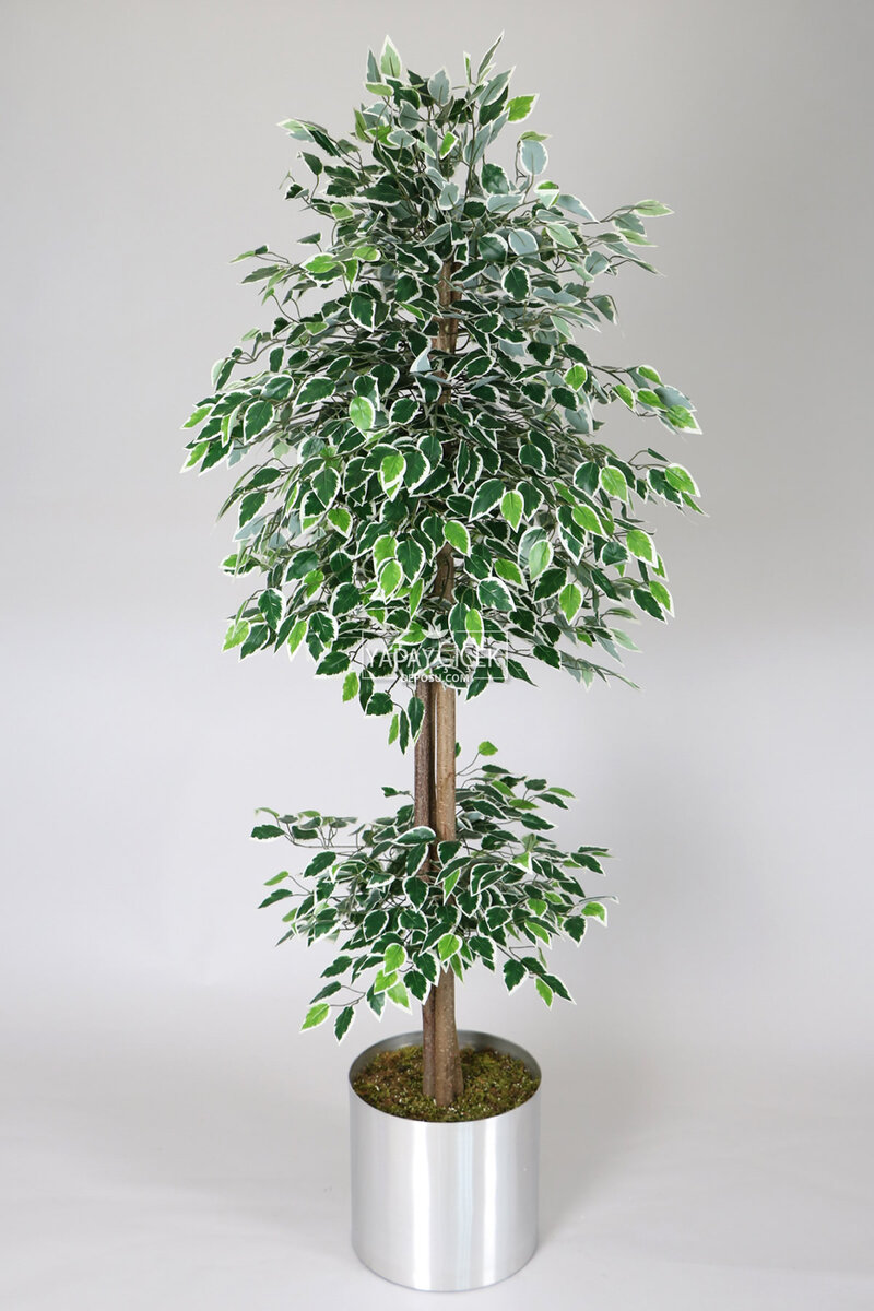Gri Metal Saksıda Yapay Benjamin Ağacı (ficus Benjamina) 180 Cm Yeşil Beyaz