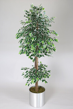 Yapay Çiçek Deposu - Gri Metal Saksıda Yapay Benjamin Ağacı (Ficus benjamina) 180 cm Yeşil Beyaz