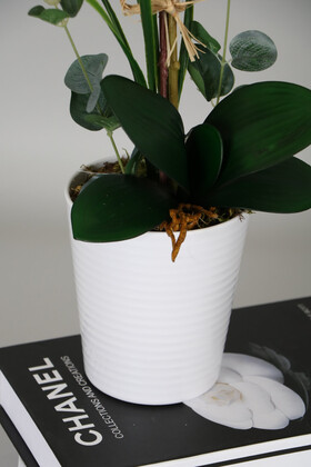 Mika Saksıda 2li Nismo Yapay Islak Orkide Tanzimi Beyaz-Pembe 60 cm - Thumbnail