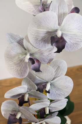 Beton Saksıda Yapay Baskılı Islak Orkide 55 cm Gri Mor - Thumbnail