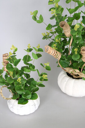 Beton Kabak Saksıda Yapay Okaliptus Bitkisi 2li Set - Thumbnail