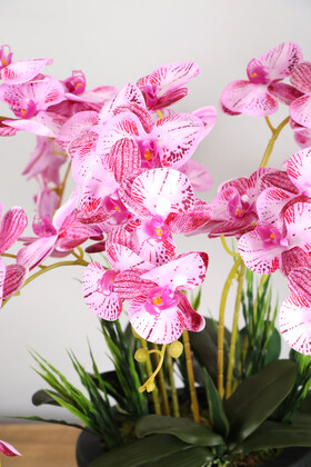 Dekoratif Ahşap Saksıda 7 Dal Orkide Tanzimi Fuşya Çizgili - Thumbnail