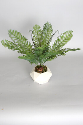 Geometrik Beton Saksıda Yapay Sıkas Bitkisi 45 cm - 4