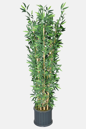 Yapay Çiçek Deposu - Oval Çıtalı Saksıda Yapay Bambu Ağacı 8 Çubuklu 180 cm