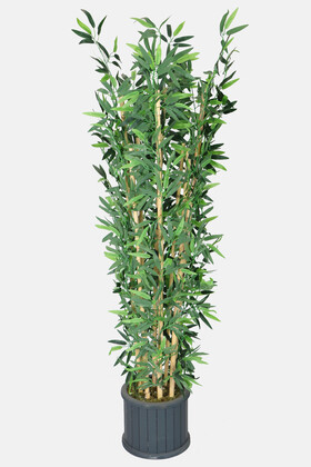 Oval Çıtalı Saksıda Yapay Bambu Ağacı 8 Çubuklu 180 cm - Yapay Çiçek Deposu