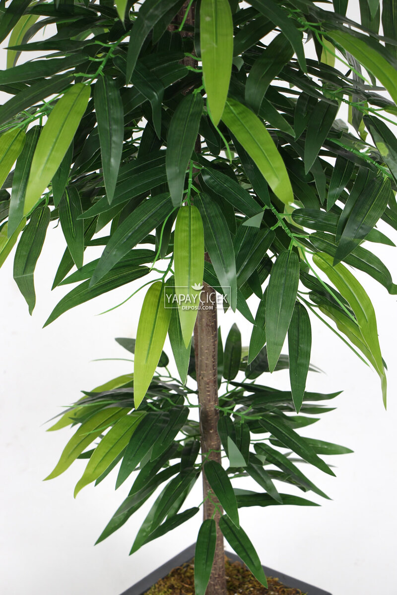 Ahşap Saksıda Yapay Mango Ağacı 150 cm 