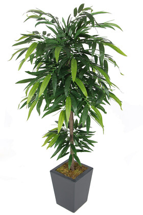 Ahşap Saksıda Yapay Mango Ağacı 150 cm - 3